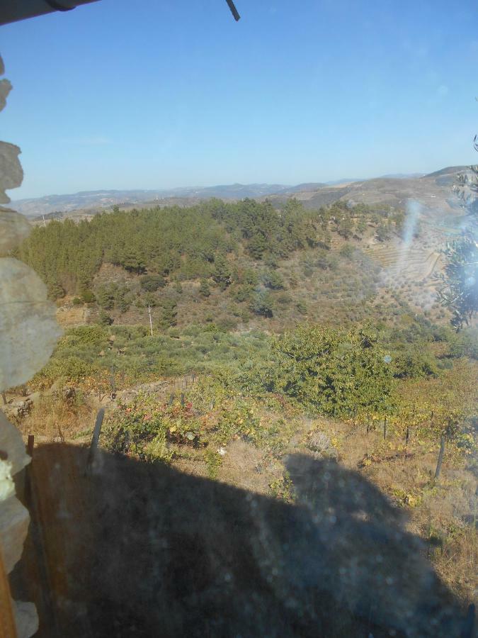 Casa Da Vinha Em Tabuaco - Douro Villa Dış mekan fotoğraf