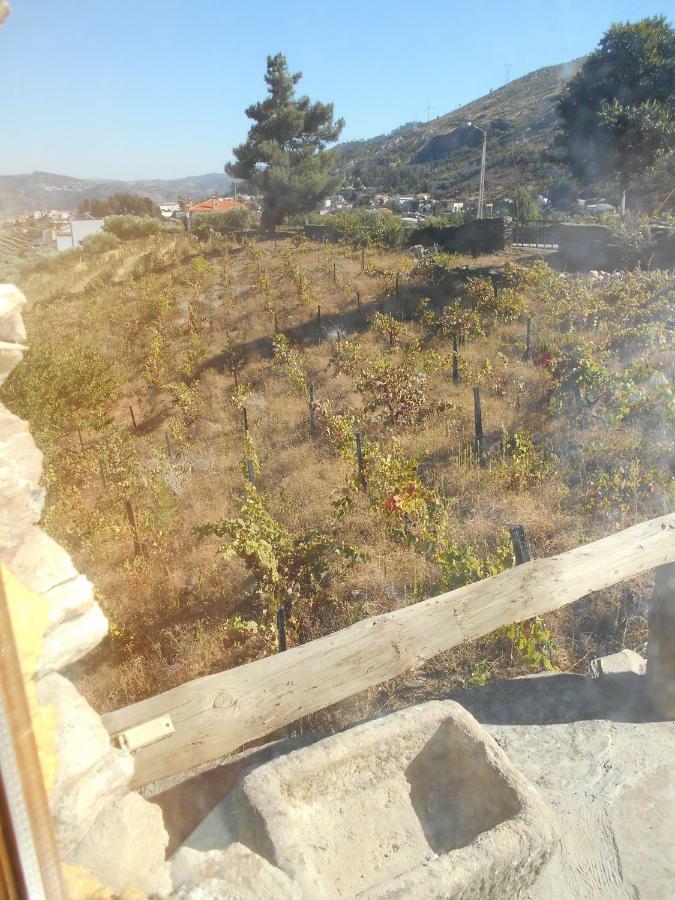 Casa Da Vinha Em Tabuaco - Douro Villa Dış mekan fotoğraf