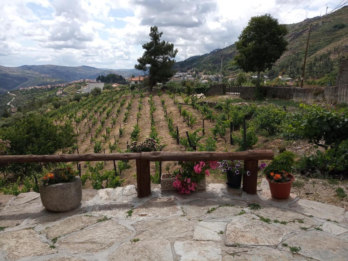 Casa Da Vinha Em Tabuaco - Douro Villa Dış mekan fotoğraf