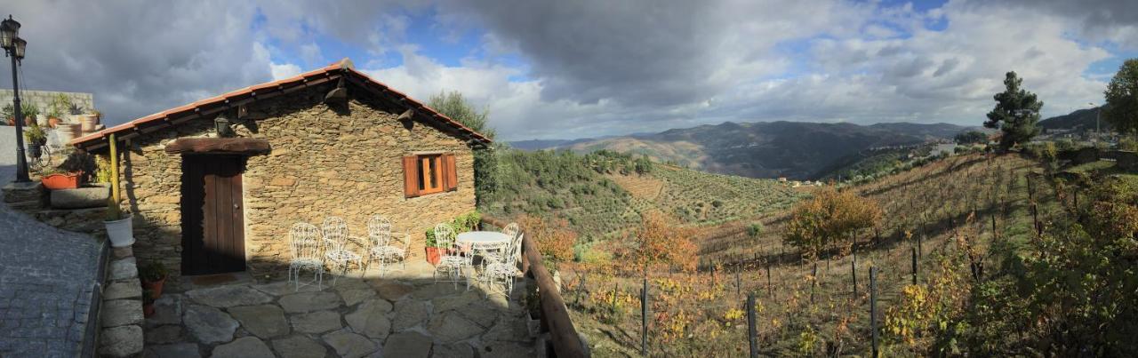 Casa Da Vinha Em Tabuaco - Douro Villa Dış mekan fotoğraf